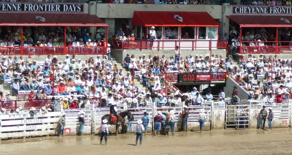 Cheyenne Rodeo Crowd
