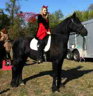 Black horse with costume