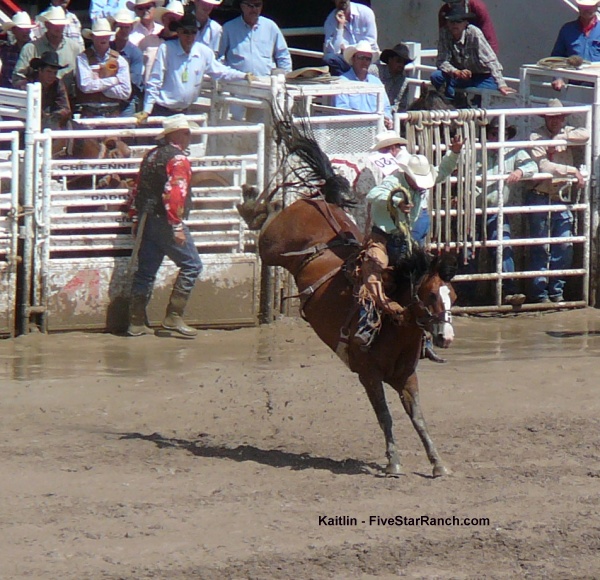Bronc Riding at Cheyenne Frontier Days Rodeo
