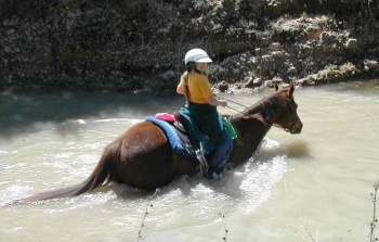 Child swimming with horse