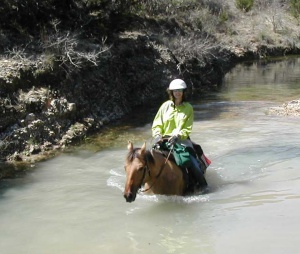 Swimming in a creek near Hill Country Equestrian Lodge near Bandera, TX