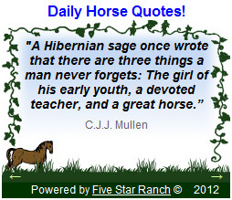 Larger Daily Horses Quote widget