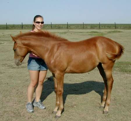 Alexine with baby foal