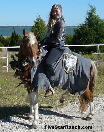 Knight Horse Costume