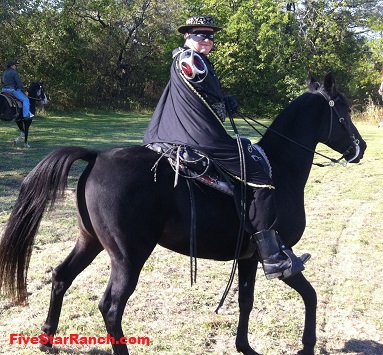 Zorro Horse Costume