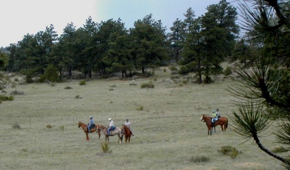 Riding in the Colorado Rockies