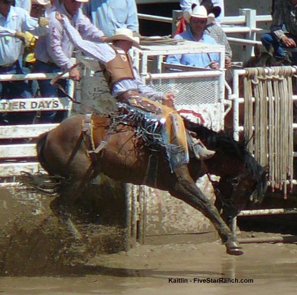 bronc riding