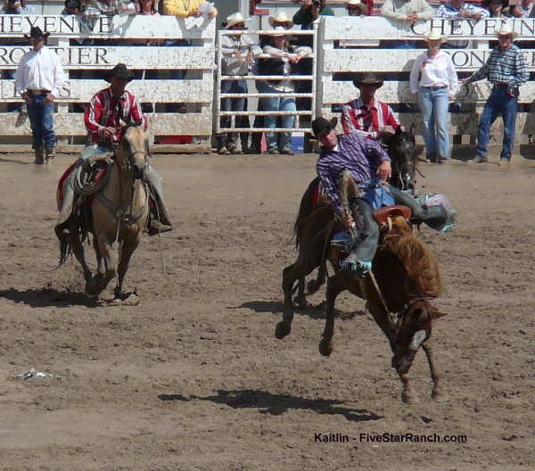 Bucking Bronco