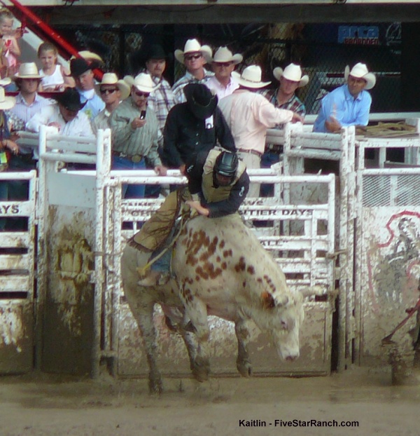 Cheyenne bull riding