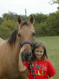 Child's horse