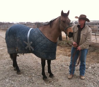 Mustang arriving in new home