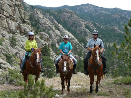 horses standing by a cliff