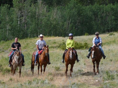 Horse Friends on the trail