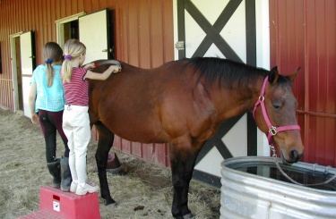 girls brushing horse