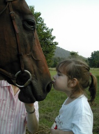 girl kissing horse