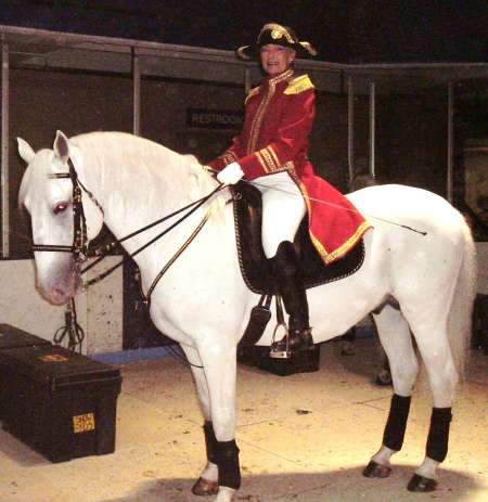 Lipizanner Stallions before the show