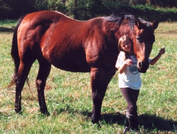 Senior horse Missy is 28 years old.