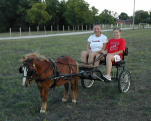 Kids with Pony Cart