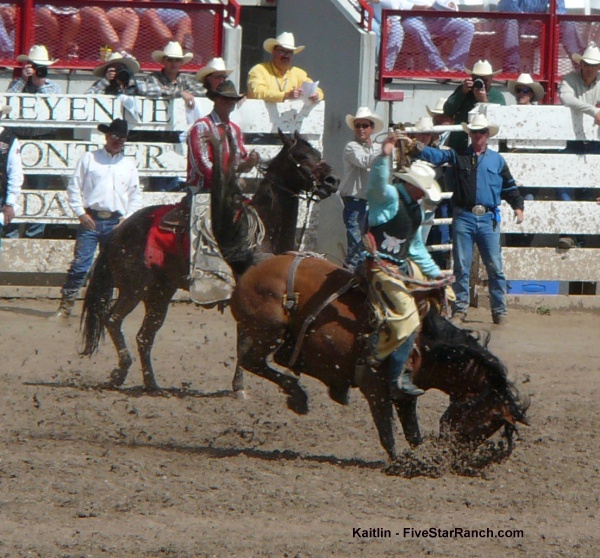 Serious Bucking Bronco