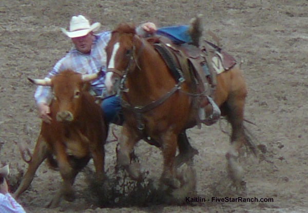 steer wrestling