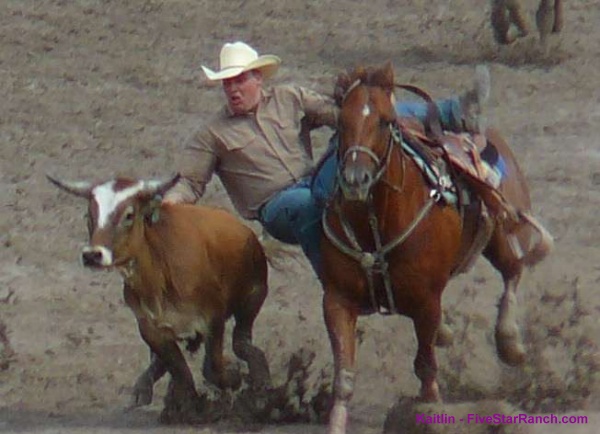 steer wrestling