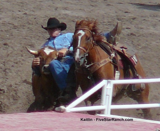 wrestling steers