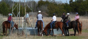 Horses around water tank