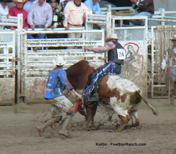 Bull riding