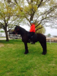 My Friesian Zegna